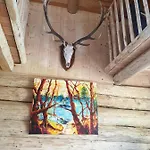 Naturstammhaus-blockhaus קלגנפורט