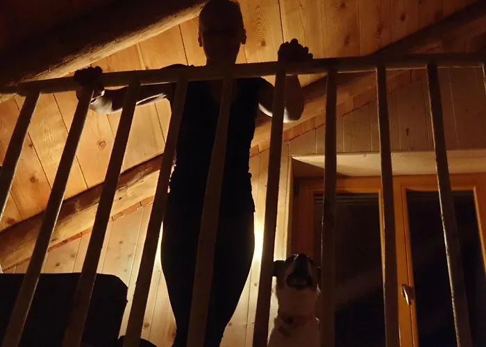 Naturstammhaus-blockhaus Dom wakacyjny *